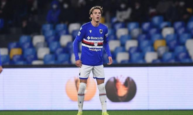 他则能在新 他则能在新